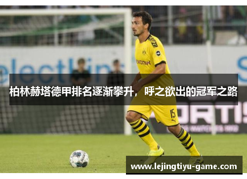 柏林赫塔德甲排名逐渐攀升，呼之欲出的冠军之路